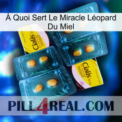 À Quoi Sert Le Miracle Léopard Du Miel cialis5